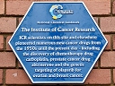 Institute of Cancer Research (id=6985)